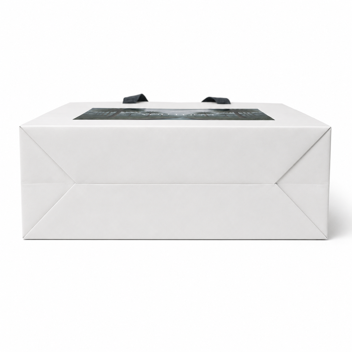 Custom Printed Clothing Paper Bags with Wide Handles | Luxury Fashion Retail Packaging
