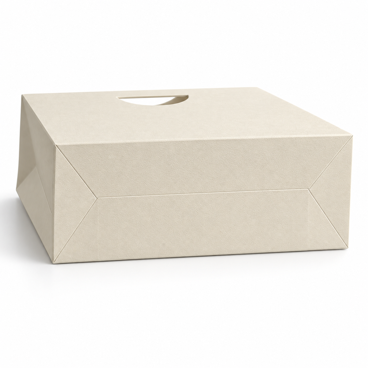 Custom Ivory Textured Paper Shopping Bags | Die-Cut Handles | Luxury Jewelry & Retail Packaging